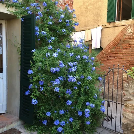 La Corte Di Ardengo Civitella Marittima